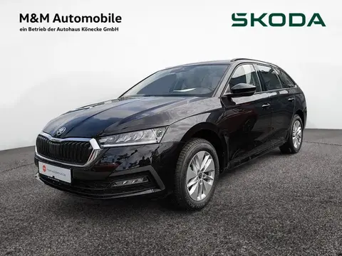 Annonce SKODA OCTAVIA Diesel 2024 d'occasion 