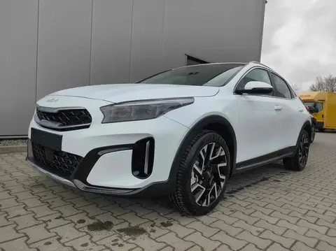 Used KIA XCEED Petrol 2024 Ad 