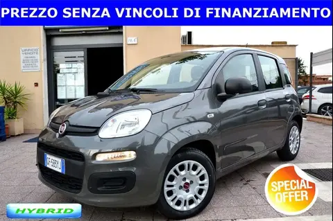 Annonce FIAT PANDA Hybride 2021 d'occasion 