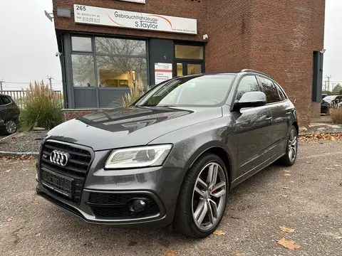 Used AUDI SQ5 Diesel 2015 Ad 