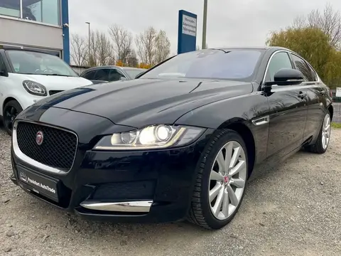 Annonce JAGUAR XF Diesel 2018 d'occasion 