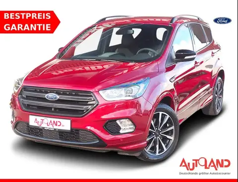 Used FORD KUGA Petrol 2019 Ad 