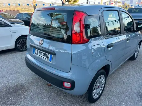 Annonce FIAT PANDA Essence 2020 d'occasion 