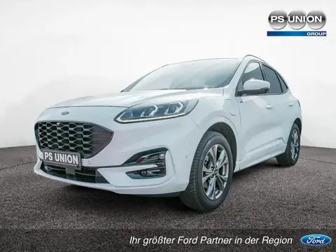 Used FORD KUGA Hybrid 2022 Ad 