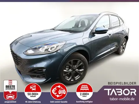 Annonce FORD KUGA Hybride 2023 d'occasion 