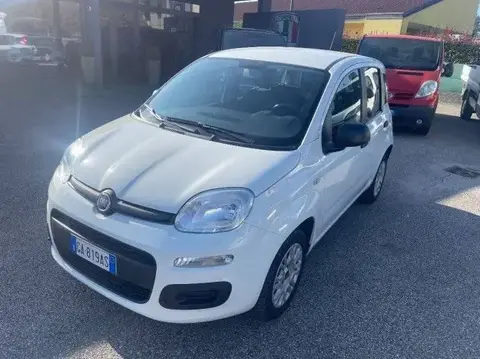 Annonce FIAT PANDA Essence 2020 d'occasion 