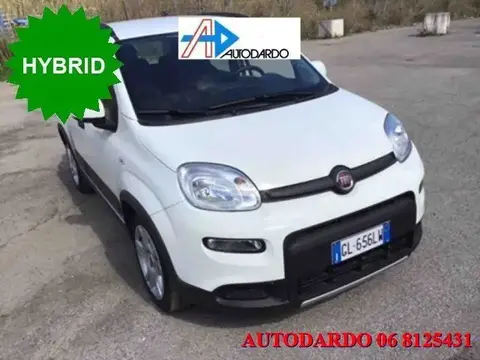 Annonce FIAT PANDA Hybride 2022 d'occasion 