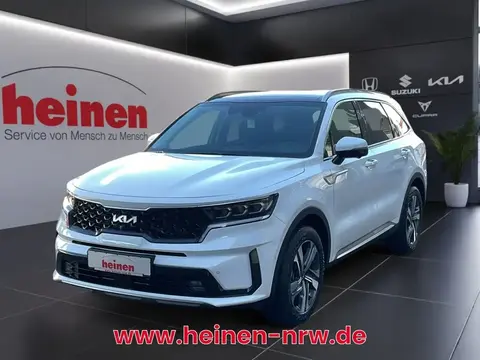 Annonce KIA SORENTO Hybride 2024 d'occasion 