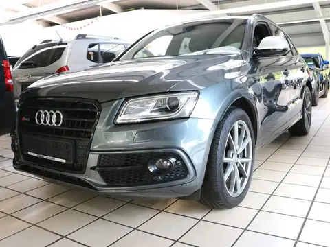 Used AUDI SQ5 Diesel 2016 Ad 