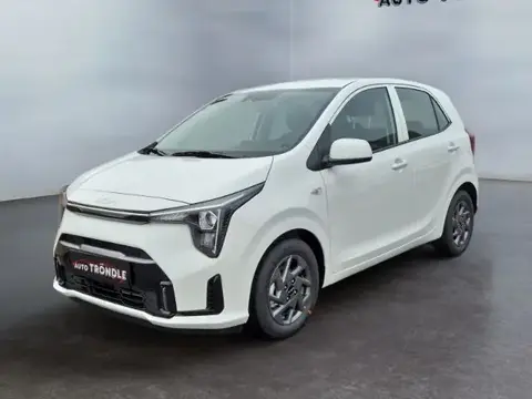 Used KIA PICANTO Petrol 2024 Ad 