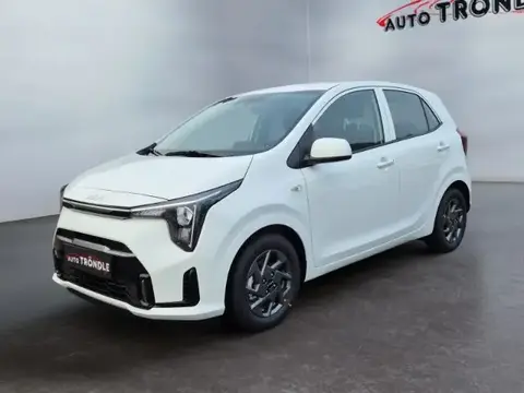 Used KIA PICANTO Petrol 2024 Ad 