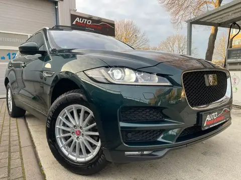 Used JAGUAR F-PACE Diesel 2017 Ad 