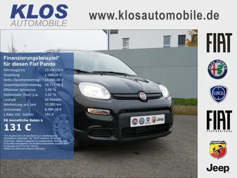 Annonce FIAT PANDA Essence 2024 d'occasion 