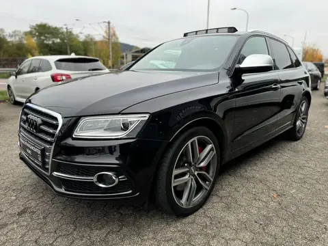 Used AUDI SQ5 Diesel 2016 Ad 