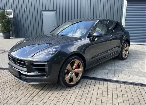 Used PORSCHE MACAN Petrol 2024 Ad 