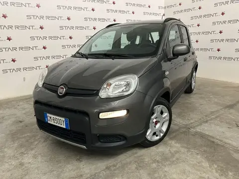 Used FIAT PANDA Hybrid 2023 Ad 