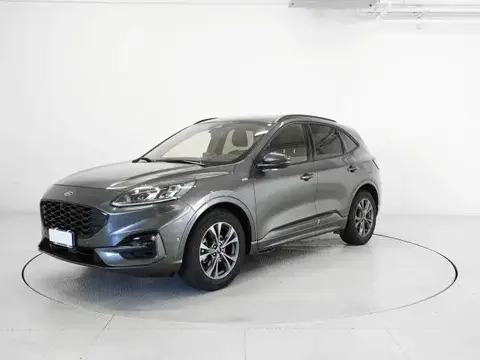 Used FORD KUGA Hybrid 2023 Ad 