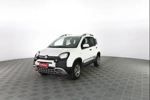 Annonce FIAT PANDA Essence 2021 d'occasion 