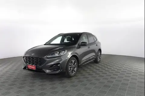 Used FORD KUGA Hybrid 2023 Ad 