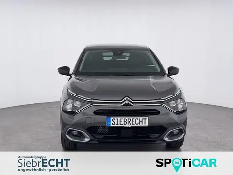 Annonce CITROEN C4 Essence 2024 d'occasion 