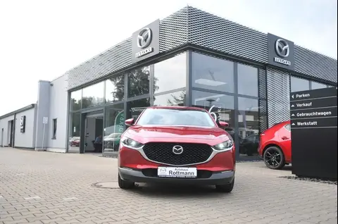 Annonce MAZDA CX-30 Essence 2020 d'occasion 