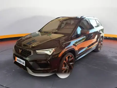 Annonce CUPRA ATECA Essence 2024 d'occasion 