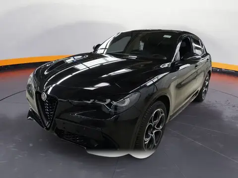 Annonce ALFA ROMEO STELVIO Diesel 2024 d'occasion 