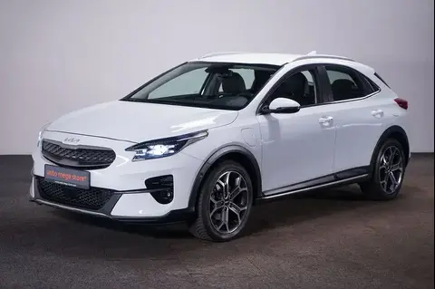 Annonce KIA XCEED Hybride 2022 d'occasion 