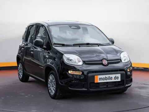 Annonce FIAT PANDA Essence 2024 d'occasion 