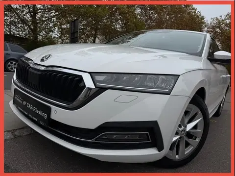 Used SKODA OCTAVIA Diesel 2020 Ad 