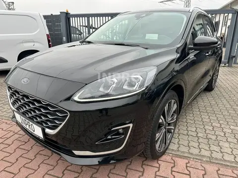 Used FORD KUGA Petrol 2021 Ad 