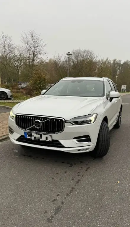 Annonce VOLVO XC60 Diesel 2019 d'occasion 