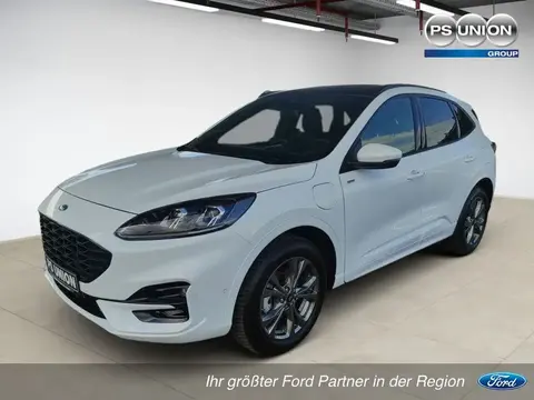 Used FORD KUGA Hybrid 2022 Ad 