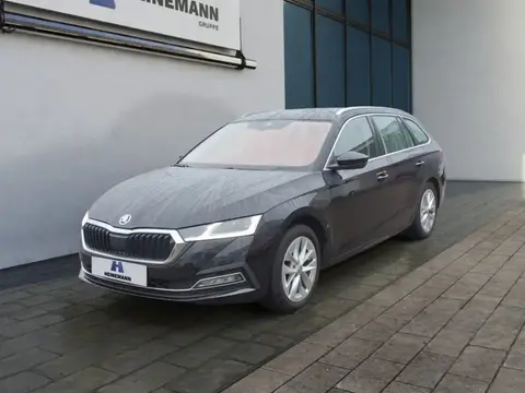 Used SKODA OCTAVIA Diesel 2020 Ad 