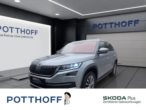 Annonce SKODA KODIAQ Diesel 2021 d'occasion 