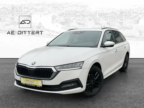 Used SKODA OCTAVIA Petrol 2020 Ad 