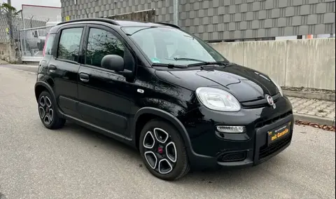 Annonce FIAT PANDA Essence 2022 d'occasion 