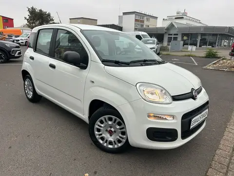 Used FIAT PANDA Petrol 2020 Ad 