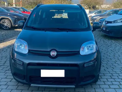 Used FIAT PANDA Hybrid 2022 Ad 