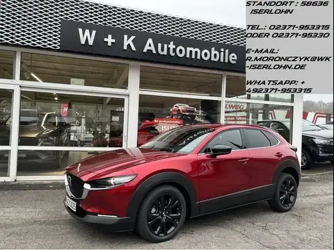 Annonce MAZDA CX-30 Essence 2024 d'occasion 