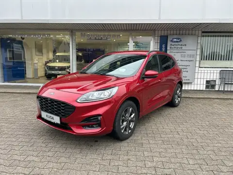 Used FORD KUGA Hybrid 2021 Ad 