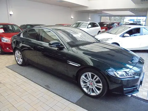 Used JAGUAR XE Diesel 2015 Ad 