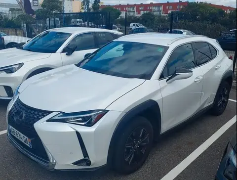 Annonce LEXUS UX Hybride 2021 d'occasion 