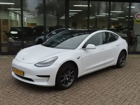 Used TESLA MODEL 3 Not specified 2019 Ad 