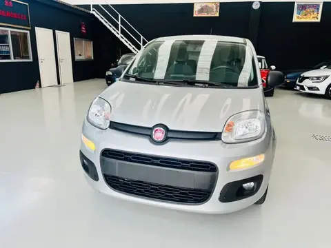 Annonce FIAT PANDA Essence 2021 d'occasion 