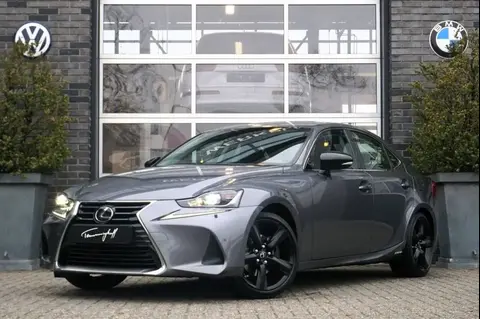 Used LEXUS IS Hybrid 2018 Ad 