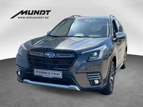 Annonce SUBARU FORESTER Essence 2023 d'occasion 