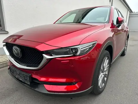 Annonce MAZDA CX-5 Diesel 2019 d'occasion 