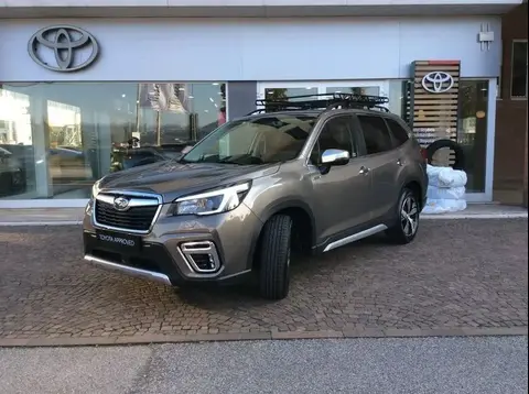 Used SUBARU FORESTER Hybrid 2021 Ad 