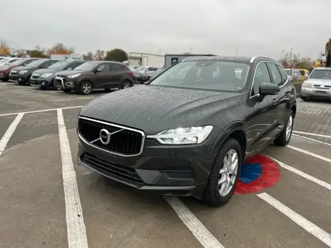 Used VOLVO XC60 Petrol 2019 Ad 